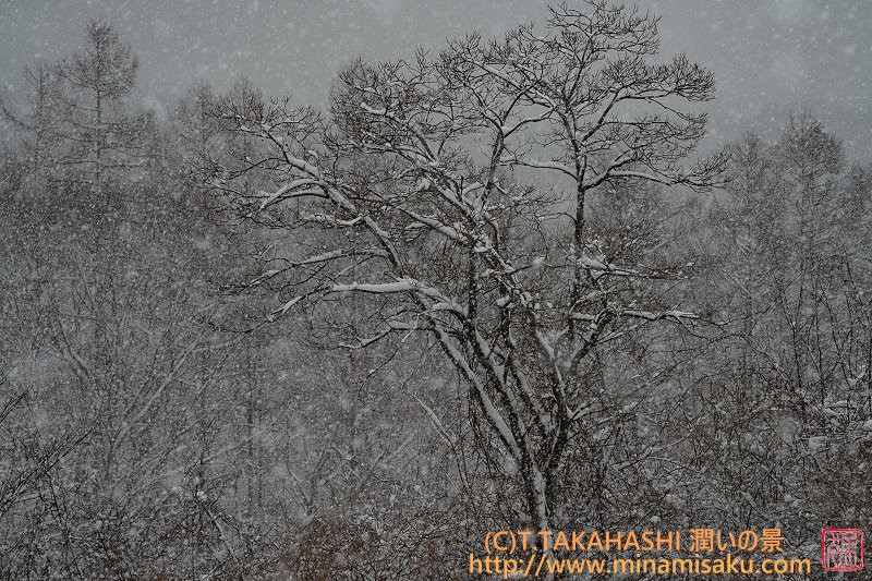 ../Images/7R250316 (130).jpg